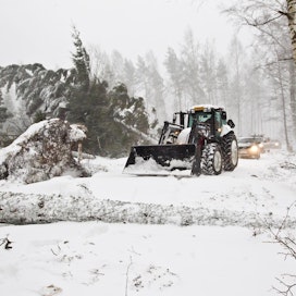 Myrsky kaatoi puita Porkkalanniemessä talvella 2012.