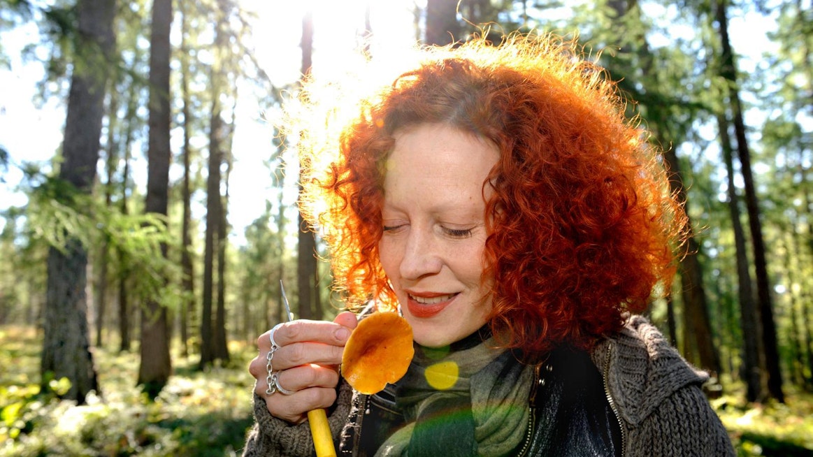 Julkisuuden henkilöistä muun muassa Punkaharjulla hotelliyrittäjänä toimiva Saimi Hoyer on kertonut olevansa innokas sieniharrastaja. Hänet haastateltiin Maaseudun Tulevaisuudessa vuonna 2016.