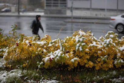Ensilumi satanut Kuopioon 4. lokakuuta 2019. Ilmatieteen laitoksen mukaan Itä-Suomessa voi tänään iltaan mennessä sataa jopa kymmenen senttiä lunta.