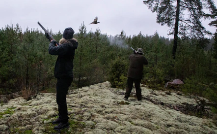Tartuntavyöhykkeellä ei saa metsästää fasaaneja tai mitään muitakaan lintuja.
