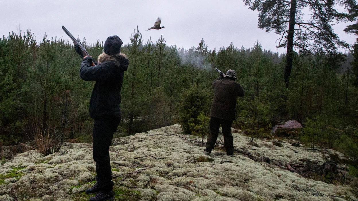 Tartuntavyöhykkeellä ei saa metsästää fasaaneja tai mitään muitakaan lintuja.