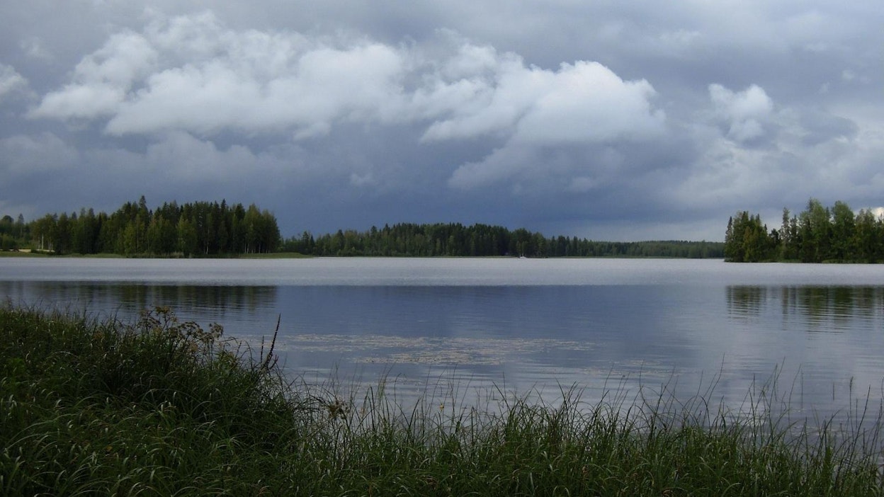 Epävakainen ja sateinen kesäsää jatkuu torstaihin asti. LEHTIKUVA / Ritva Siltalahti
