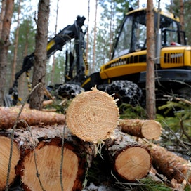 Määttä korostaa blogikirjoituksessaan, että pääosa Suomen luonnonvaroista sijaitsee harvaan asutulla maaseudulla.