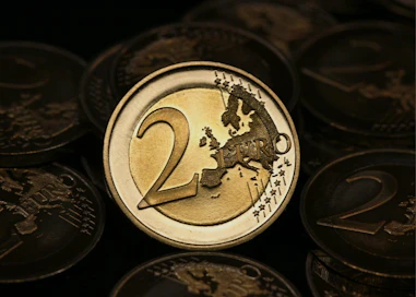 Onko eurovaluutta ollut Suomelle enemmän hyöty vai haitta? LEHTIKUVA / MATTI BJÖRKMAN