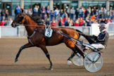 Komearaaminen Exit Fastback muistetaan vuoden 2019 SHKL Cupin kakkosena. Voiton vei ME-tuloksella Edwina Orden, jonka Exit Fastback oli jättänyt kisan karsinnassa taakseen.