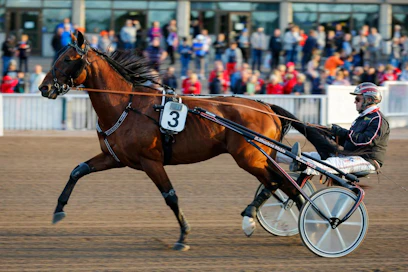Komearaaminen Exit Fastback muistetaan vuoden 2019 SHKL Cupin kakkosena. Voiton vei ME-tuloksella Edwina Orden, jonka Exit Fastback oli jättänyt kisan karsinnassa taakseen.
