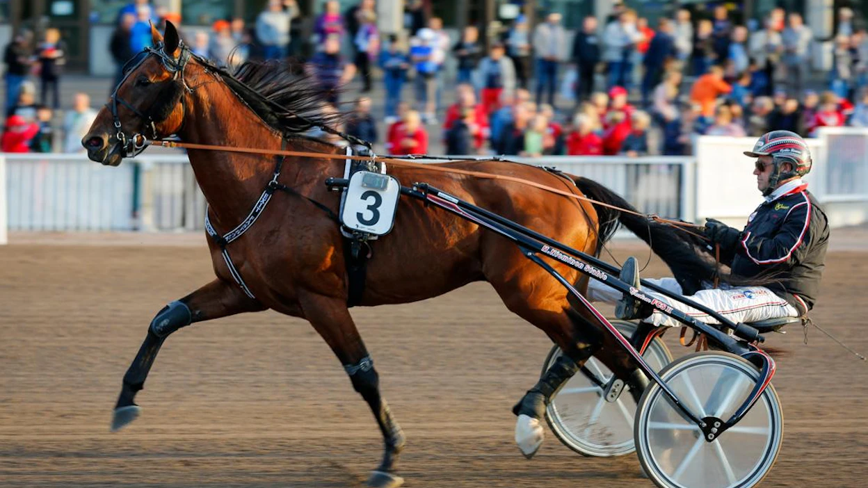 Komearaaminen Exit Fastback muistetaan vuoden 2019 SHKL Cupin kakkosena. Voiton vei ME-tuloksella Edwina Orden, jonka Exit Fastback oli jättänyt kisan karsinnassa taakseen.