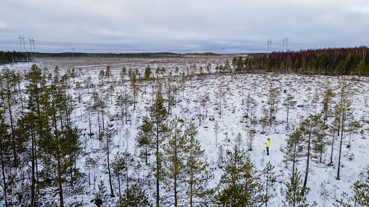 Metsämaasta maksettiin viime vuonna nimellisesti kaikkien aikojen kovimpia hintoja.