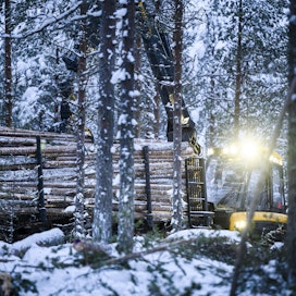 Mai Kivelän mukaan kansallispuistoksi esitettyjä metsiä ei saisi hakata.