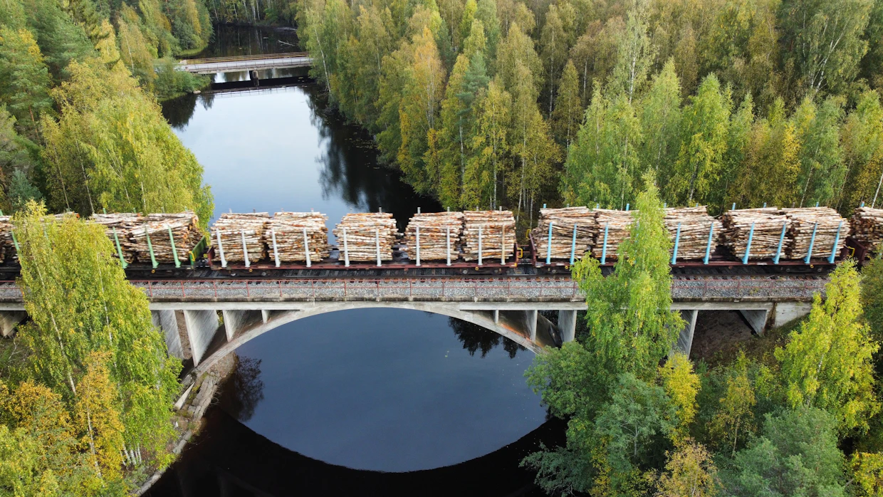Kannonkosken 140 kuutiometrin hehtaaripuusto vastaa aika tarkkaan maan keskiarvoa. Siellä männyn osuus on puolet.
