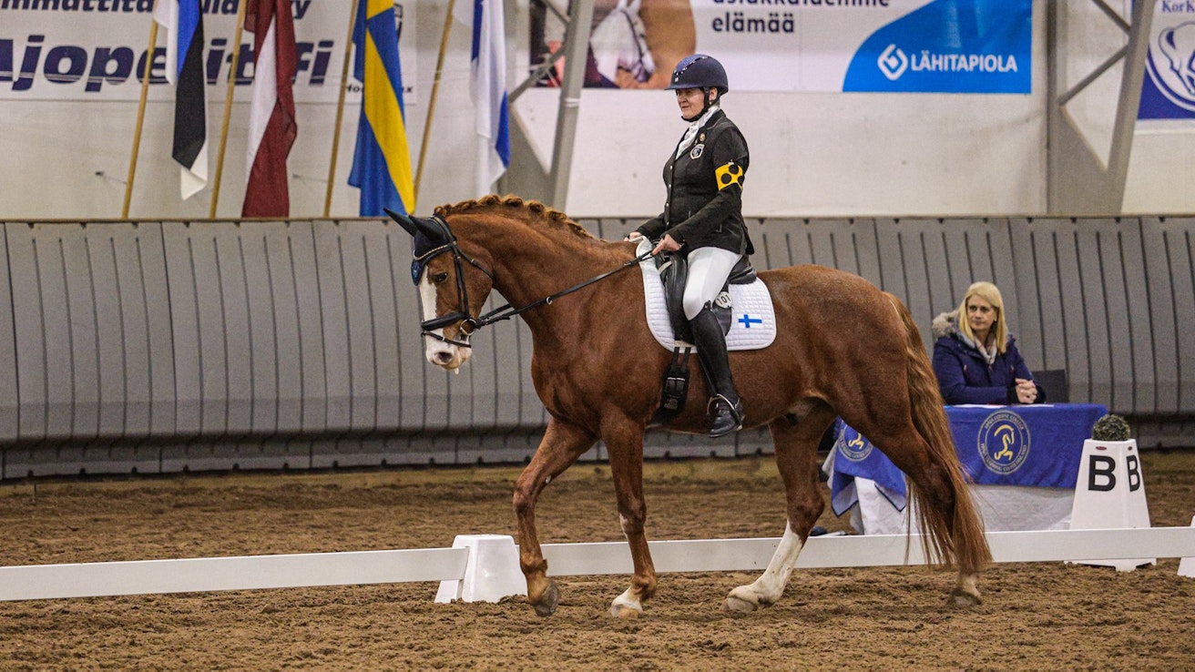 Katja Karjalainen ja Kameo aloittivat kilpailukautensa Ypäjän kansainvälisissä kilpailuissa hyvin prosentein.