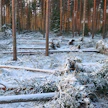Hannes-myrsky runteli kovalla kädellä Etelä-Pohjanmaata. Kuva on otettu Seinäjoella.