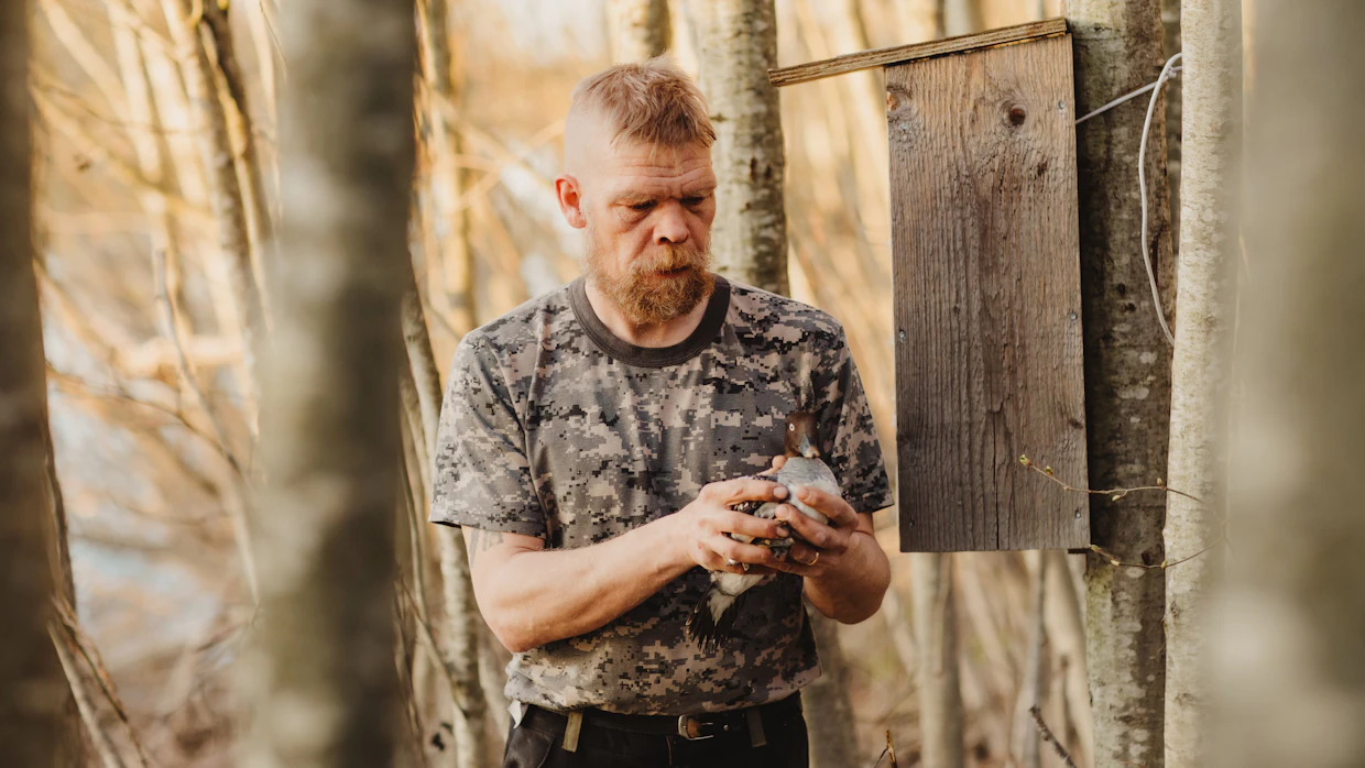 Rengastuksella saadaan tutkimukselle tietoa lintulajeista, kertoo Marko Palomaa.