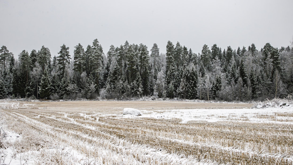 Tänään sunnuntaina sää on suotuisa tuulivahinkojen korjaamiseen.