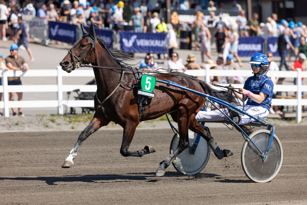 Xena Dell on Pentti Pääkkösen nykyinen starttihevonen. Kuvassa rattailla Carolina Krokvik.