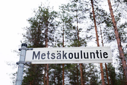 Metsäala alkaa kehittää alan koulutusta yhteistyössä.