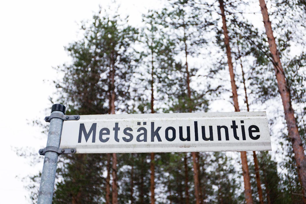 Metsäala alkaa kehittää alan koulutusta yhteistyössä.
