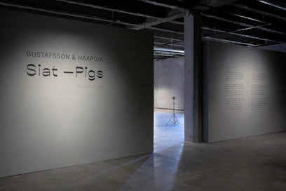Siat-Pigs-näyttely on esillä Seinäjoen taidehallilla.