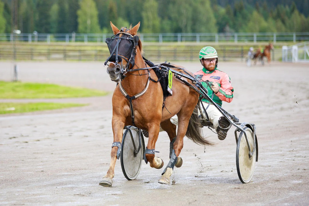 Antti Tupamäen Hetviina tekee paluun noin kolmen kuukauden tauolta keskiviikkona.