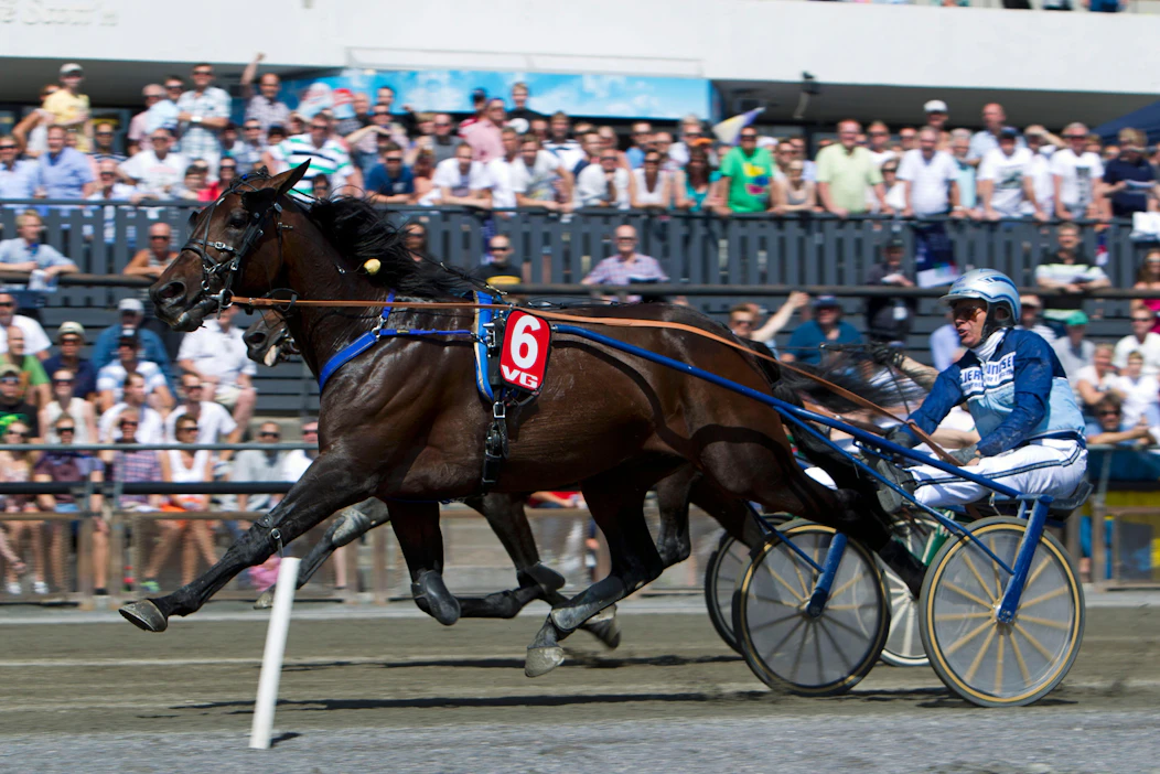 Norjalaisori Broadway Legs astuu ensi kauden Suomessa. Kuva: Morten Skifjeld/Hesteguiden.com