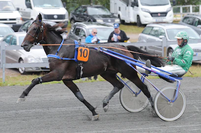 Ari Aatsingin treenissä kisaava Stay Alert lähtee Mäntyvaara Stayerissa jahtiin 80 metrin pakilta. 22 kertaa pitkällä urallaan ykköseksi yltäneen ruunan ohjissa nähdään tänään Jarmo Saarela.