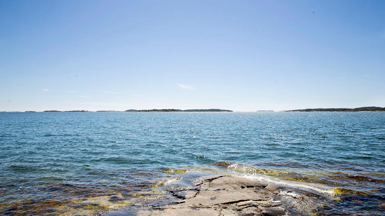 Viljelijät suojelevat Saaristomerta esimerkiksi ottamalla vesiensuojelun huomioon viljelymenetelmissä.