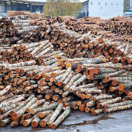 Sahateollisuudessa käytetään sekä mänty-, kuusi- että koivutukkia. Valtaosa Suomen sahateollisuuden käyttämästä puusta on kotimaista.