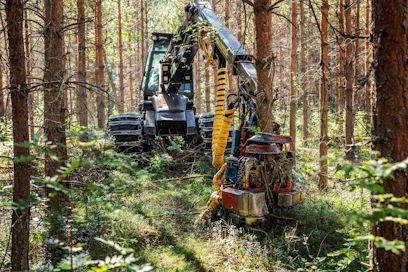 Sulautumista suunnittelevien Etelä-Savon ja Kangasniemi-Pieksämäen metsänhoitoyhdistysten alueella kestävä hakkuusuunnite on 4,7 miljoonaa kuutiometriä vuodessa.