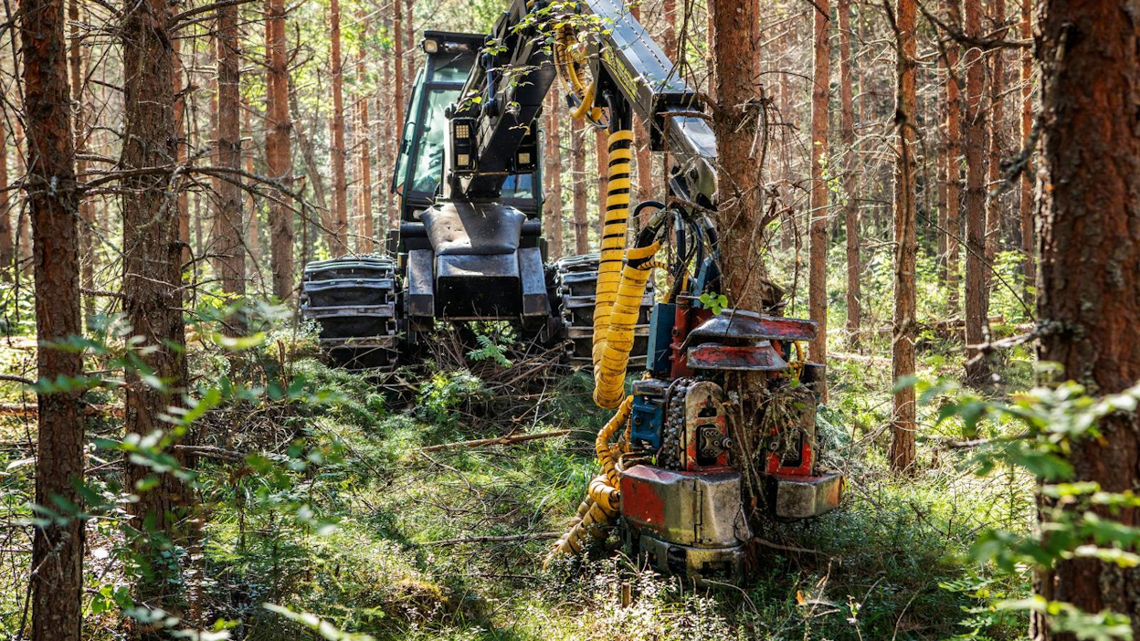Sulautumista suunnittelevien Etelä-Savon ja Kangasniemi-Pieksämäen metsänhoitoyhdistysten alueella kestävä hakkuusuunnite on 4,7 miljoonaa kuutiometriä vuodessa.