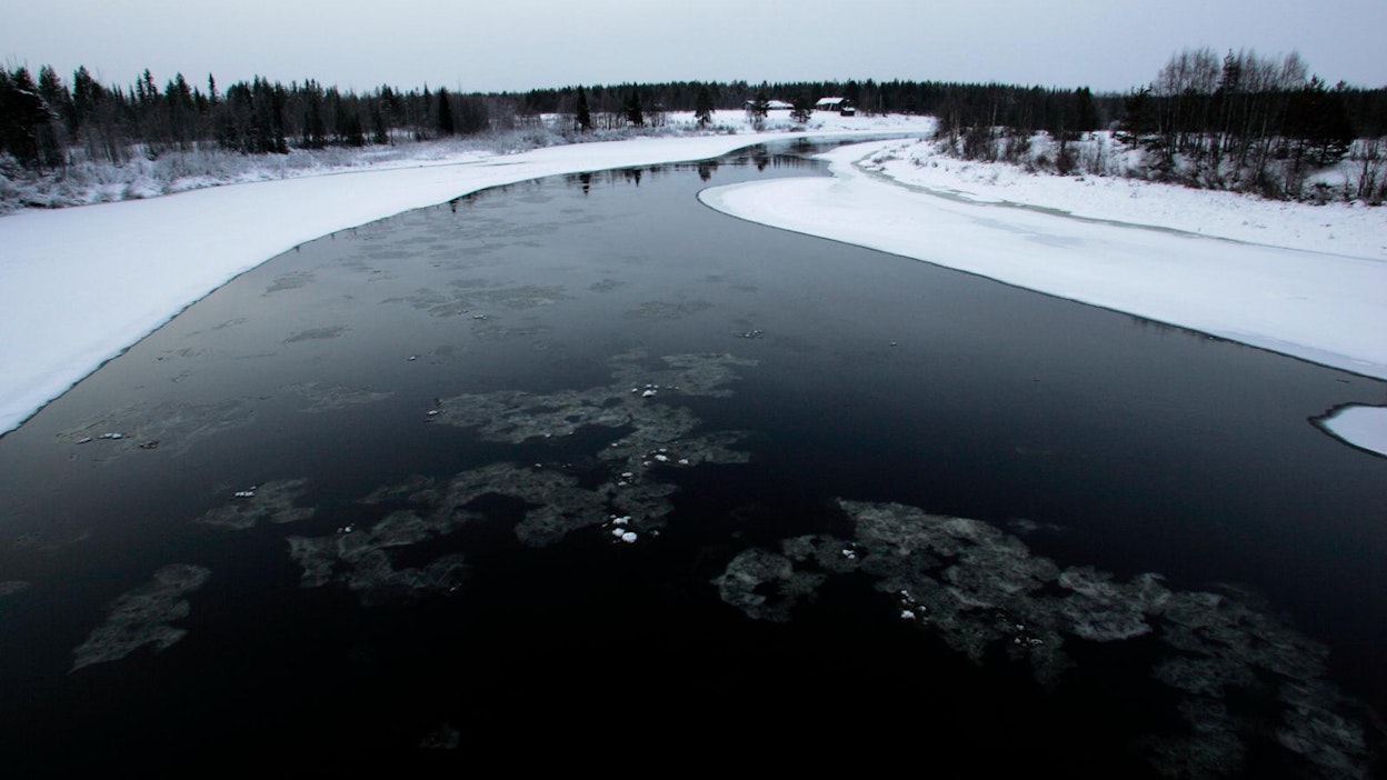 "Se, että Fortum kumppaneineen yllyttää Kemijoki Oy:tä ja Pohjolan Voimaa vastustamaan vaelluskalojen tarvitsemia ohitusuomia, on surullistakin surullisempi arktinen totuus Suomesta."