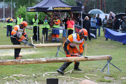 Moottorisahauksen SM-kilpailuissa taisto oli erittäin tuimaa ja vasta viimeisenä suoritetussa karsinnassa ratkesivat mitalistit. Vuoden 2016 kilpailussa tehtiin lajikohtaisesti erittäin kovia tuloksia.
