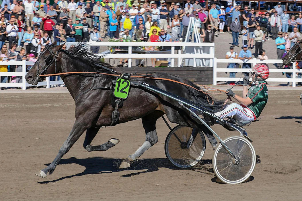 Viime syksyn Kriterium-voittaja Run For Royalty voitti heinäkuun alussa Jokimaalla ja on yksi Derby-karsintojen kuumimmista nimistä.