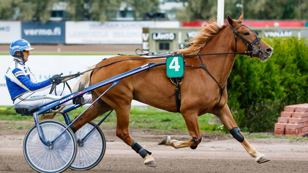Esa Holopainen ohjastaa 65-vihjeen varmaa Ciiran Tähteä.