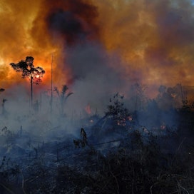 Metsäpaloja kiihdyttävät metsien polttaminen maanviljelyn tieltä sekä ilmastonmuutoksen kiihdyttämät kuumat ja kuivat kaudet. Kuva on Amazonin sademetsästä Brasiliasta elokuun puolivälistä. LEHTIKUVA / AFP