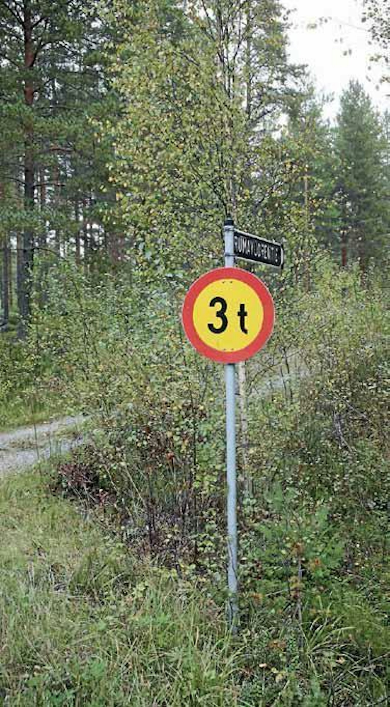 Liikennemerkistä ei ole mitään hyötyä, jos se on kaatunut tai pusikoiden peittämä. Tämä merkki näkyy vielä talven jälkeenkin.