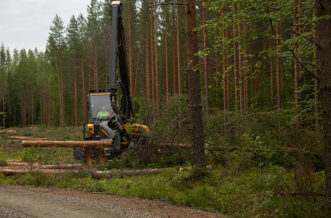Vierimetsänhakkuussa toimitaan melkein kuin tavallisessa savotassa, mutta metsää on vain moton toisella puolella.