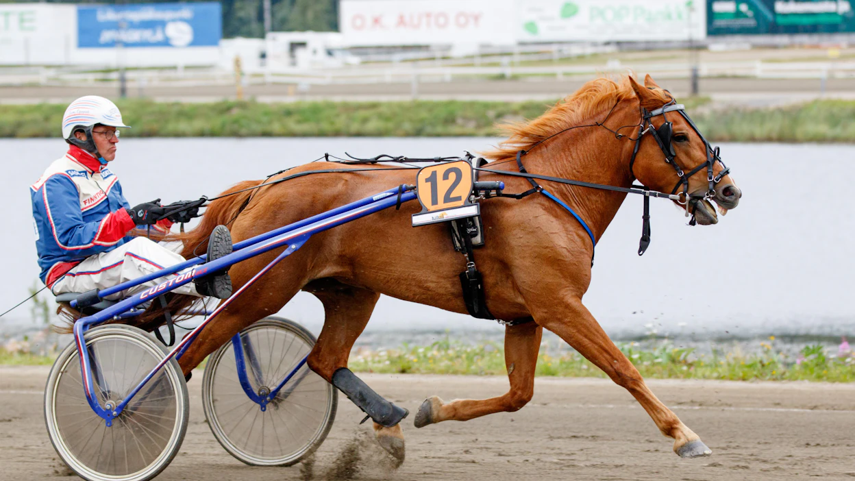 Tuomo Ojanperän ohjastama ja Matti Koskisen valmentama kuningatarkisan kolmonen Aurotar pääsee Teivossa matkaan paalupaikalta. Piskuinen tamma hakee kauden kolmatta ykkössijaansa.