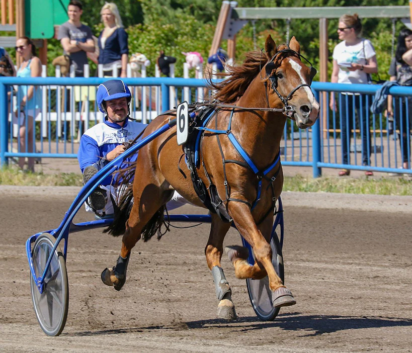 Tämä hieno valjakko nähdään ensi tiistaina Teivossa. Nähdäänkö myös Elitkampissa, sitä Ville Korjus ei itsekään vielä osaa arvata.