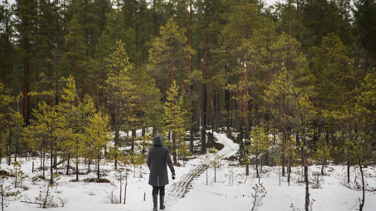 Vetäytyminen ja hiljentyminen luonnon helmaan rauhoittaa mieltä ja sitä kautta herättää toivoa, sanoo arkkipiispa Tapio Luoma.