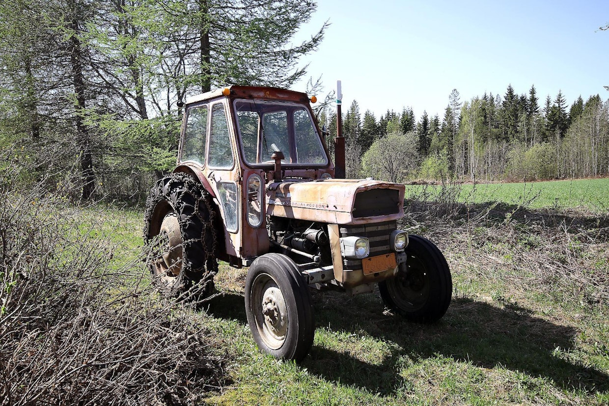 Massey Ferguson oli 1960-luvulla markkinajohtaja Suomessa. Suosituin malli oli kuvassakin esiintyvä 135:nen. Tämä yksilö on varustettu sääsuojaa tarjoavalla kotimaisella Ylö-ohjaamolla ja liikennöintiä ajatellen Tunturi SuperSportin vilkuilla.