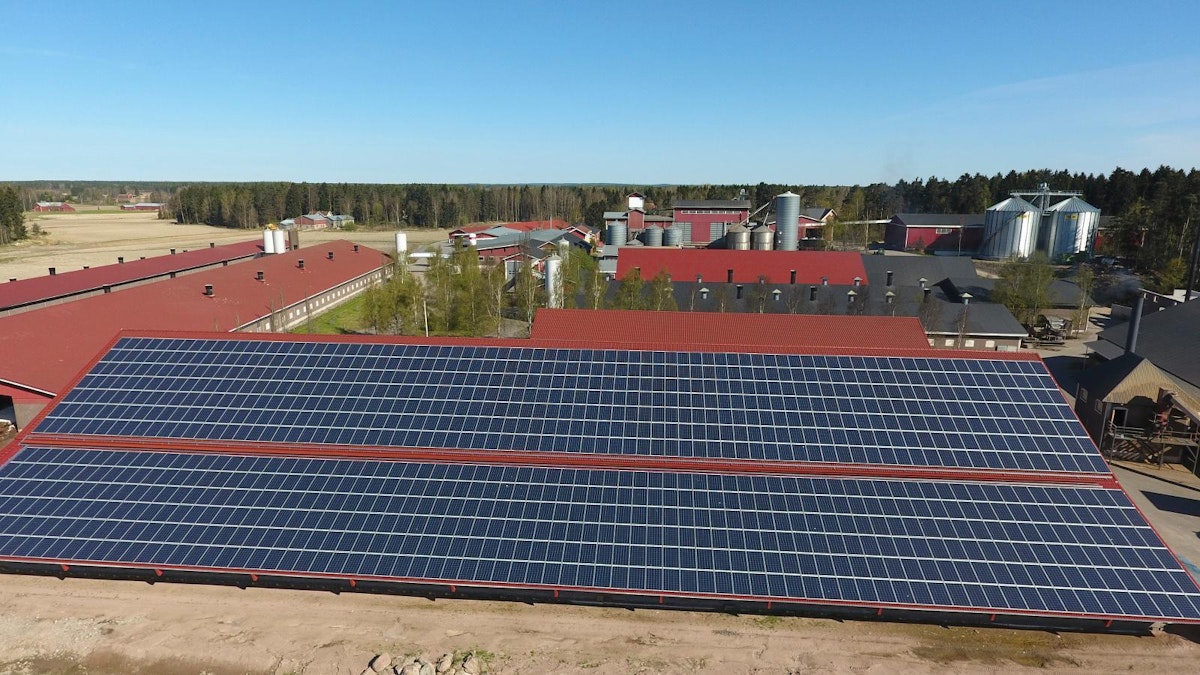 Farmimuna kerää kuudesosan sähköstä aurinkopaneeleilla - Uutiset -  Maaseudun Tulevaisuus