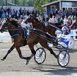 Twist Of Fate voitti toissa vuoden Kuopio Stakesissa sekä kuvan karsintansa että finaalin.