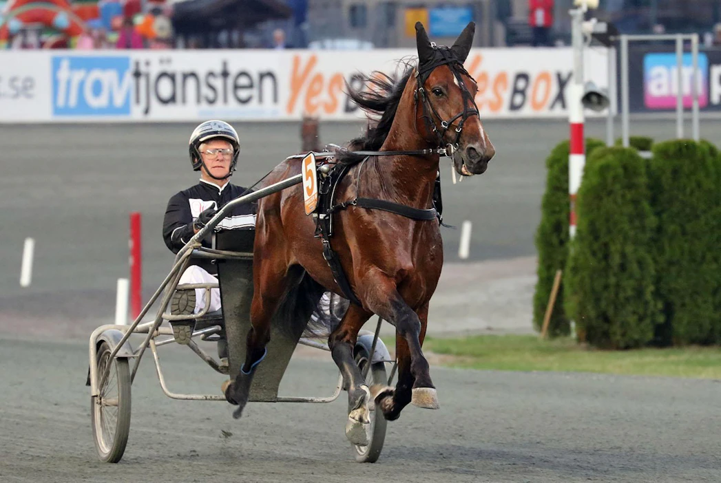 Twister Bi ja Jerry Riordan valmistautumassa Jubileumspokaleniin, missä se hävisi 1000 metrin ratojen ME-tuloksen 09,9 menneelle Readly Expressille johtavan rinnalta niukasti tuloksella 10,0. Onko Twister tällä hetkellä maailman paras?.