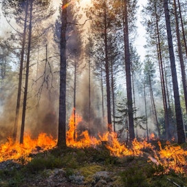 Metsäpalot kohosivat viime vuonna ennätysmittoihin Euroopassa.