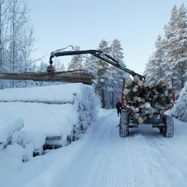 Markkinat saavat ohjata puun käyttöä eri tarkoituksiin. Suomalaiset mepit ovat päätökseen enimmäkseen tyytyväisiä.
