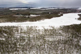 Metsätilojen kauppa vilkastui viime vuonna 23 prosenttia.