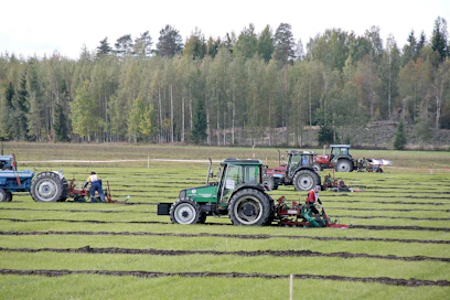 SM-kynnöt järjestettiin Somerolla 65. kerran.