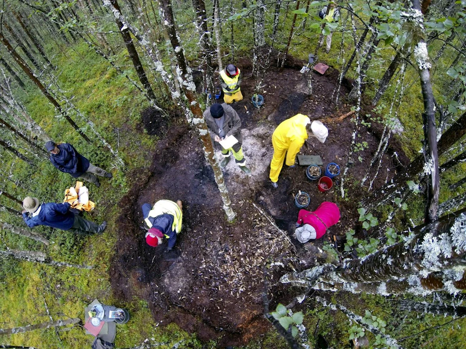 Viime kesänä yleisökaivaus oli Inarin kylässä saksalaisen sotasairaalan alueella. LEHTIKUVA / handout / Wesa Perttola