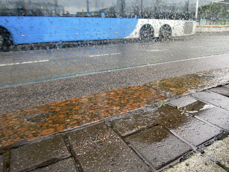 Loppuviikoksi luvatut sateet ovat runsaita ja vettä voi kertyä maan keskiosassa paikoin jopa yli 50 mm. Kuva: Lehtikuva / Ritva Siltalahti