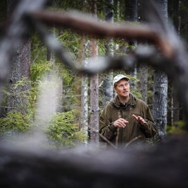 Risto Sulkava ajatteli ennen, että metsätalous ja suojelu eivät sovi yhteen. Nyt joihinkin kysymyksiin löytyy ratkaisu jatkuvasta kasvatuksesta.